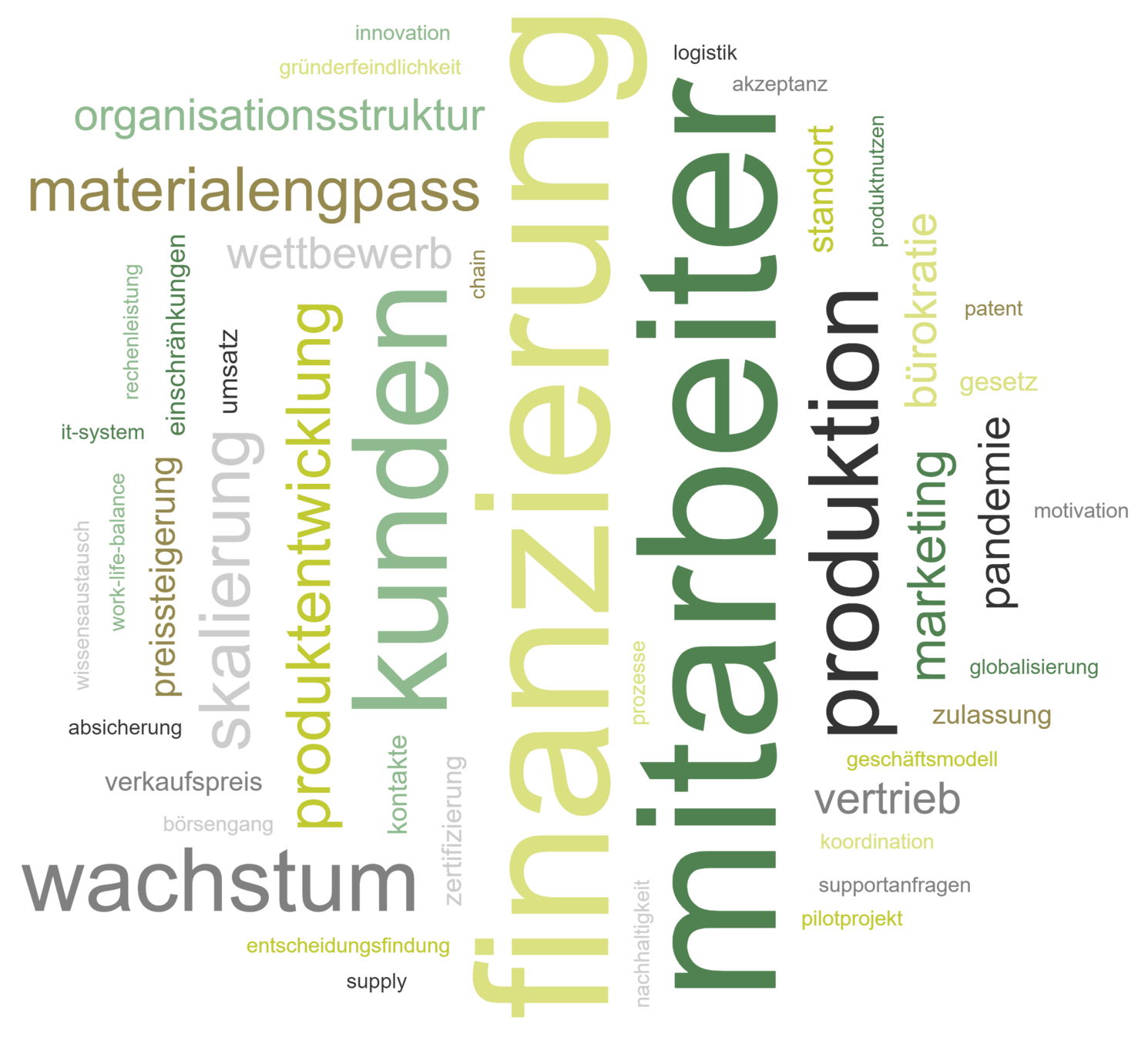 Wortwolke: Zukünftige Herausforderungen produzierender Start-ups