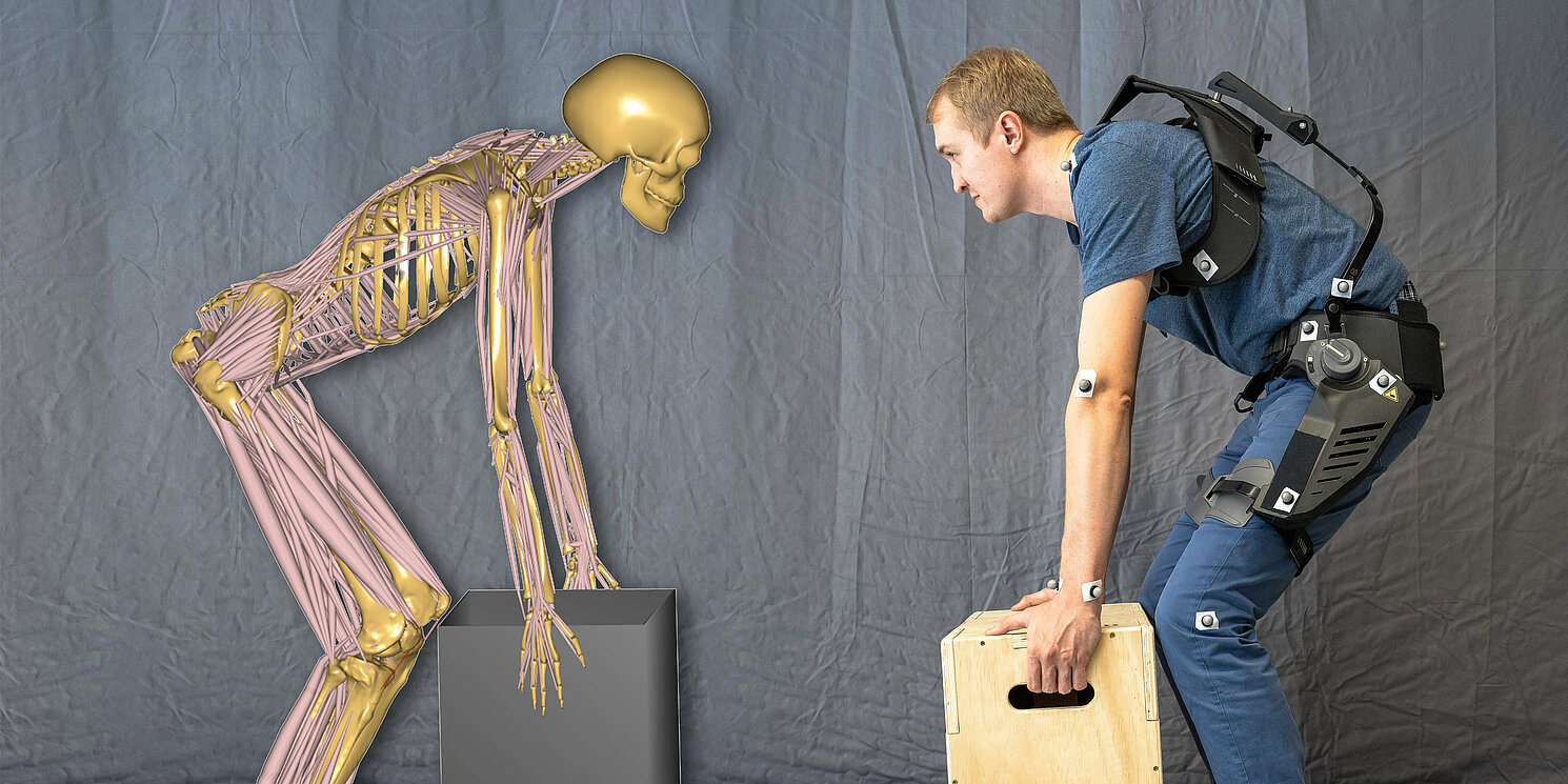 Ein Studierender hebt eine Kiste in die Höhe. Gegenüber auf einem Skelett-Modell ist die Biomechanik des Hebens zu sehen.