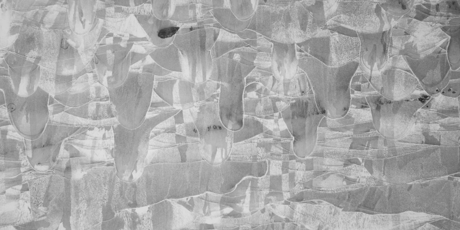 Querschliff eines additiv gefertigten Edelstahls, Lichtmikroskopie