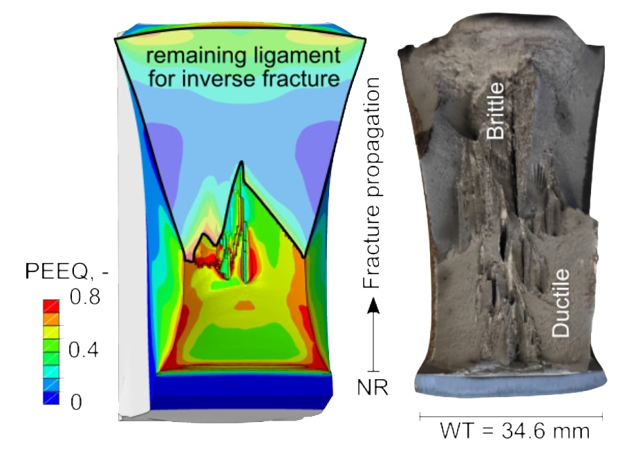 Die Abbildung vergleicht die experimentelle und simulierte Bruchfläche eines BDWT-Versuchs. Die simulierte Bruchfläche (links) zeigt die Verteilung der plastischen Vergleichsdehnung (PEEQ) nach Rissinitiierung im Kerbgrund (NR) und Rissfortschritt. In der Mitte der Wandstärke (WT) traten in der Simulation in Übereinstimmung mit dem Versuch (rechts) "Separations" auf.